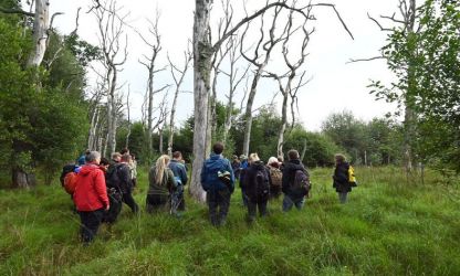 Kartierübungsfläche Jeeser Moor
